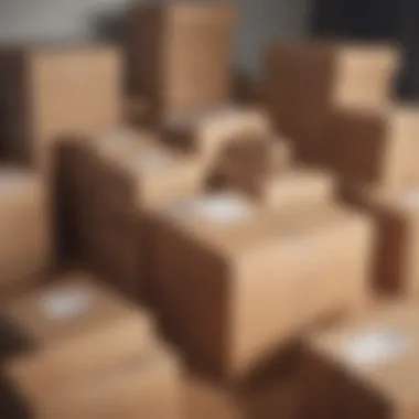 Organized Packing with Labeled Boxes Boxes neatly labeled for efficient packing and unpacking