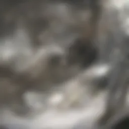 Chemical structure of acetic acid in white vinegar