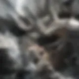 Electric dryer exhaust duct assembly