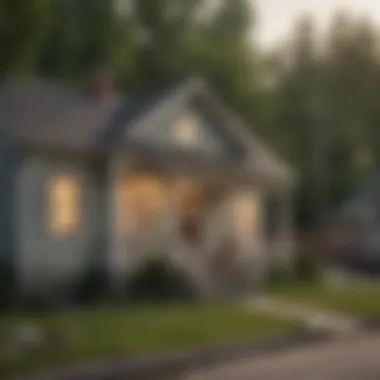 Impact of Foreclosures on Local Communities A neighborhood with mixed conditions of homes, highlighting foreclosures.