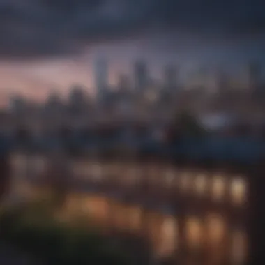 Brooklyn Skyline and Residential Architecture Stunning skyline view of Brooklyn homes