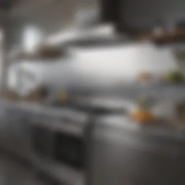 A gleaming stainless steel appliance reflecting its surroundings after being cleaned with vinegar.