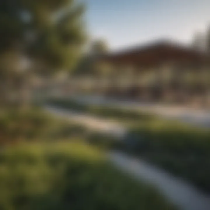 Community park with families enjoying recreational activities