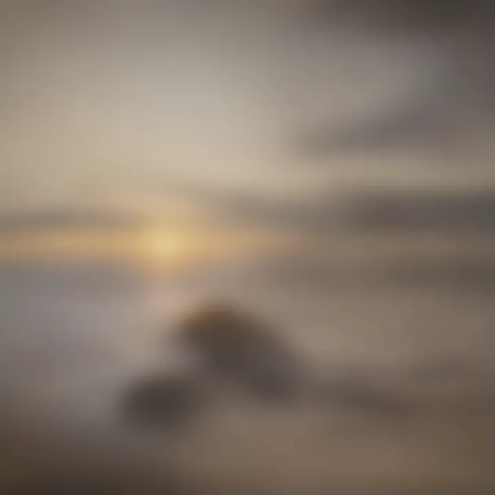 Beautiful beach scene in San Diego highlighting recreational opportunities